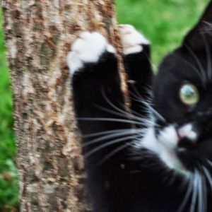 Meet your Posher, Laurie